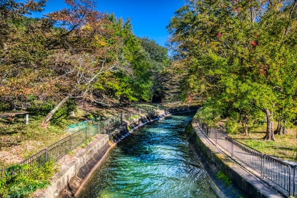 山科疎水