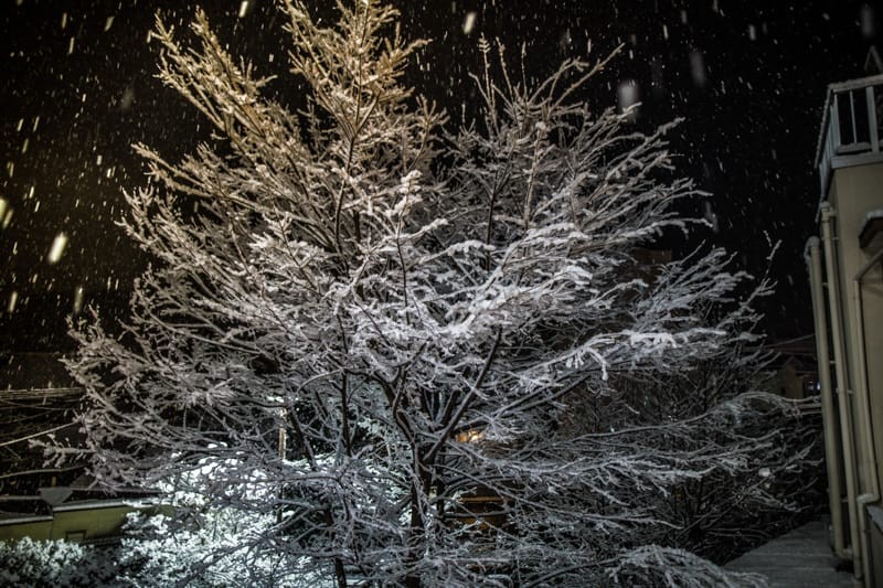 雪景色